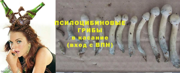 а пвп мука Абаза