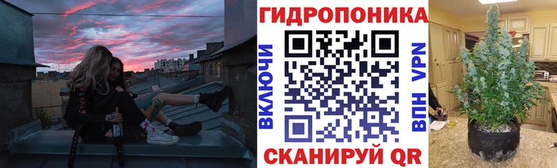 Конопля индика Мамадыш